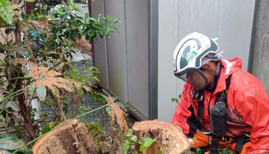 491460456_18296803360169122_6248890442339775936_n