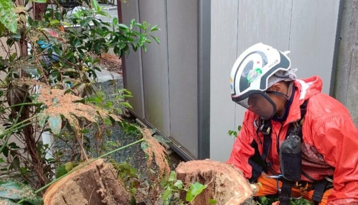 491460456_18296803360169122_6248890442339775936_n