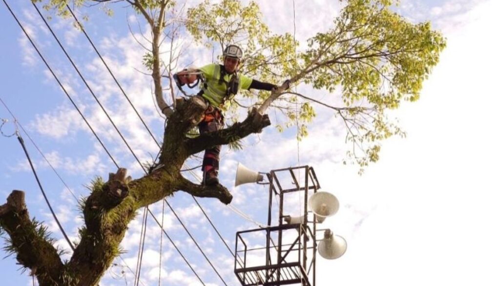 491460743_18296805169169122_8204378642631840298_n 491460743_18296805169169122_8204378642631840298_n