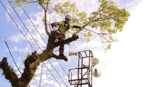 491460743_18296805169169122_8204378642631840298_n