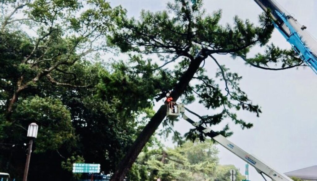 491549483_1130385882222321_4827334143635644879_n