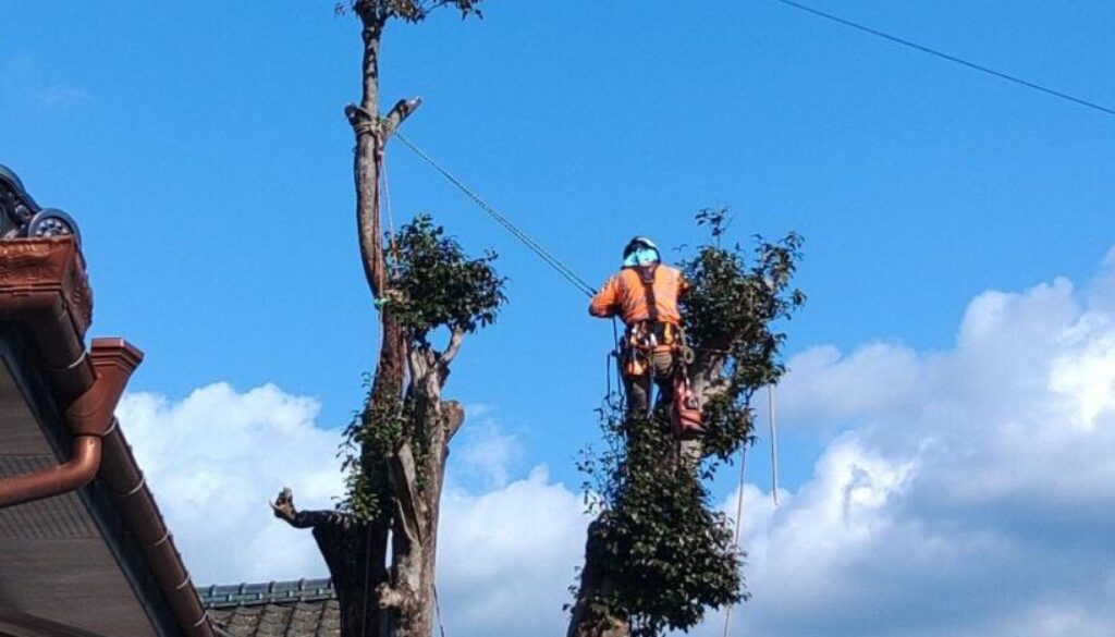 491779474_1129937628933813_5315709458097534487_n 491779474_1129937628933813_5315709458097534487_n