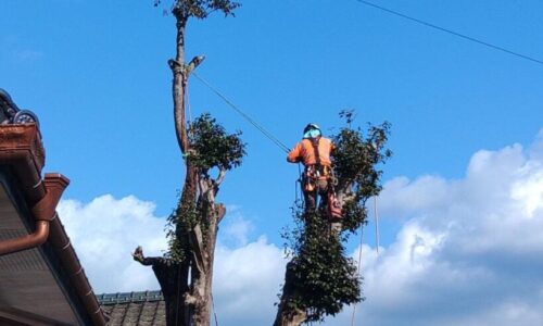 491779474_1129937628933813_5315709458097534487_n