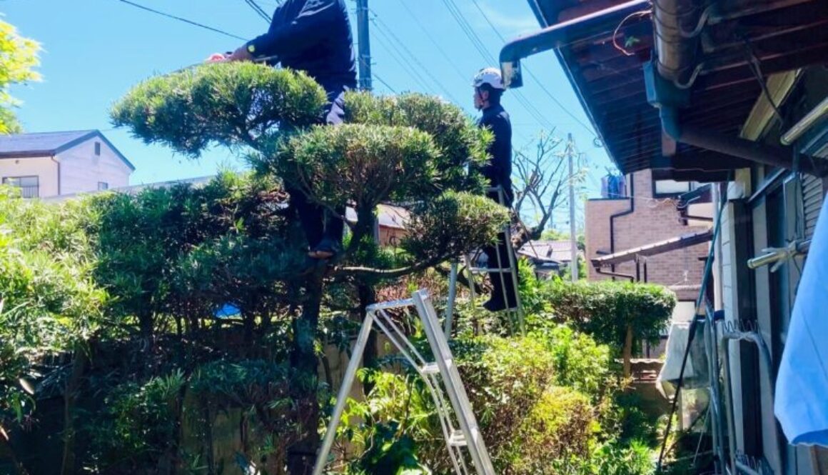 550824781_18310927171169122_594551685099100311_n 550824781_18310927171169122_594551685099100311_n