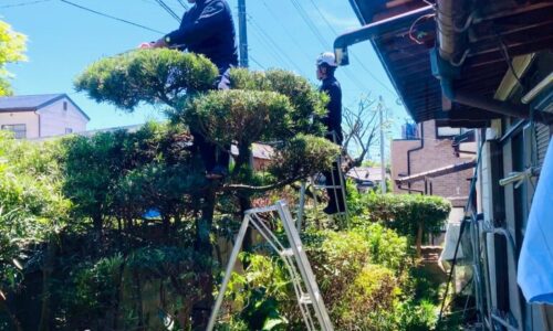 550824781_18310927171169122_594551685099100311_n