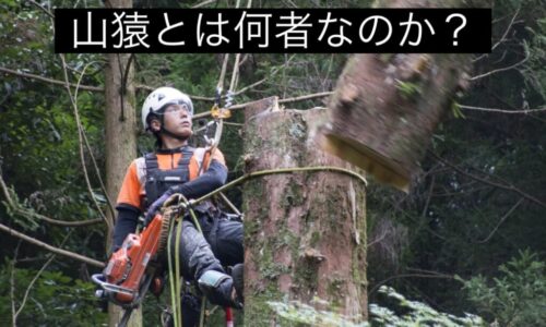 558951795_18313414147169122_1388486454690537084_n