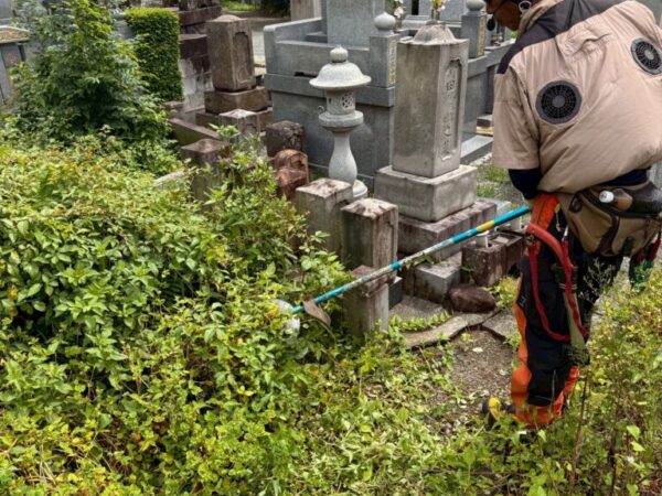 IMG_1159 草刈り・除草