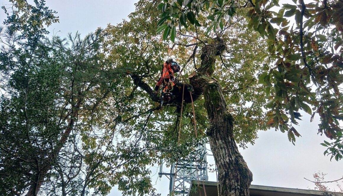 470473337_18285337861169122_6783090223219006588_n