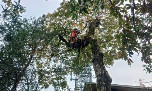 470473337_18285337861169122_6783090223219006588_n