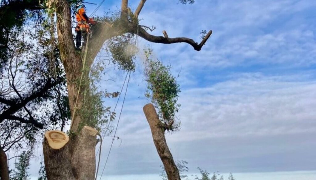 471844075_18286347565169122_5727764352795003572_n