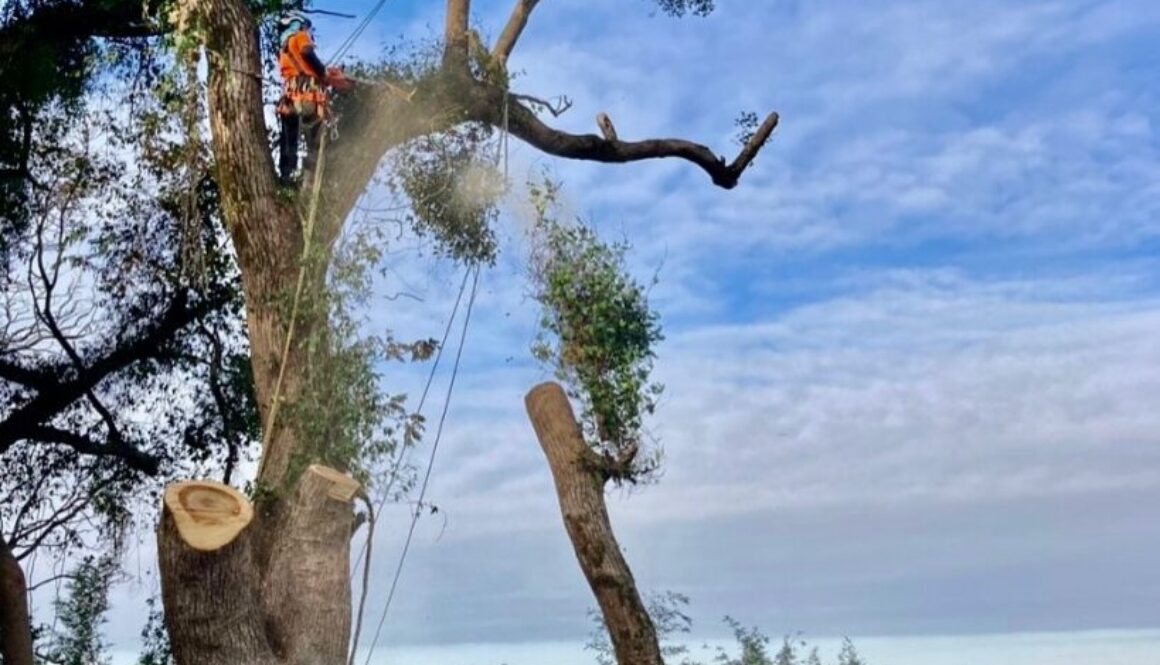 471844075_18286347565169122_5727764352795003572_n