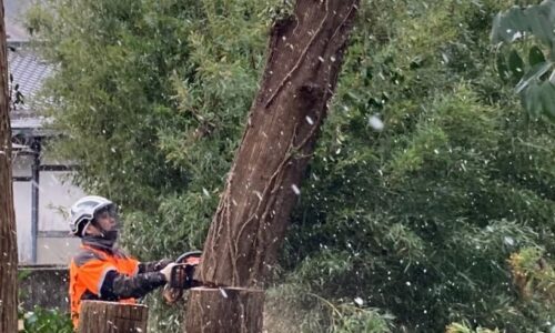 473670749_18288041875169122_2106710228649181339_n