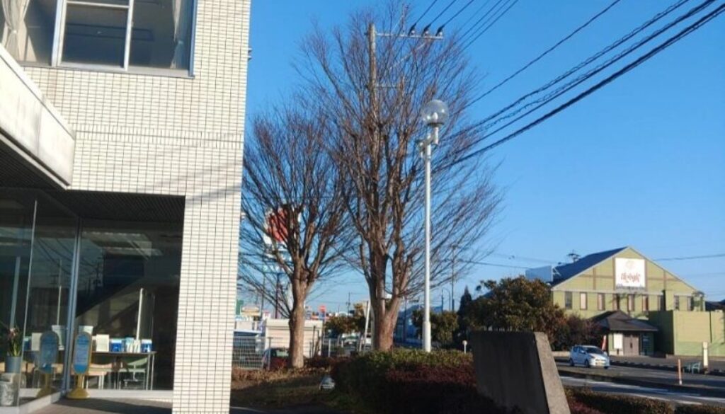 482499746_18293153080169122_5809033158683407347_n