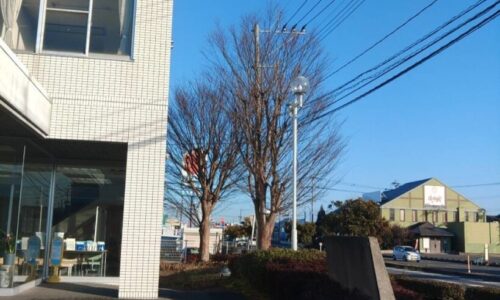 482499746_18293153080169122_5809033158683407347_n