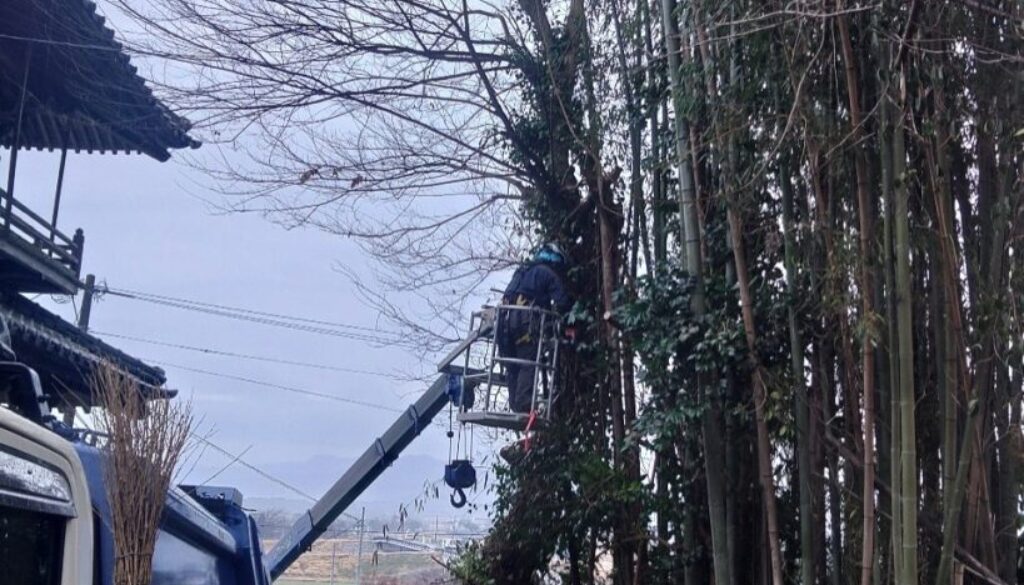 482785015_18293151958169122_7281468937671364225_n