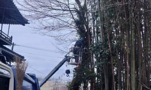 482785015_18293151958169122_7281468937671364225_n