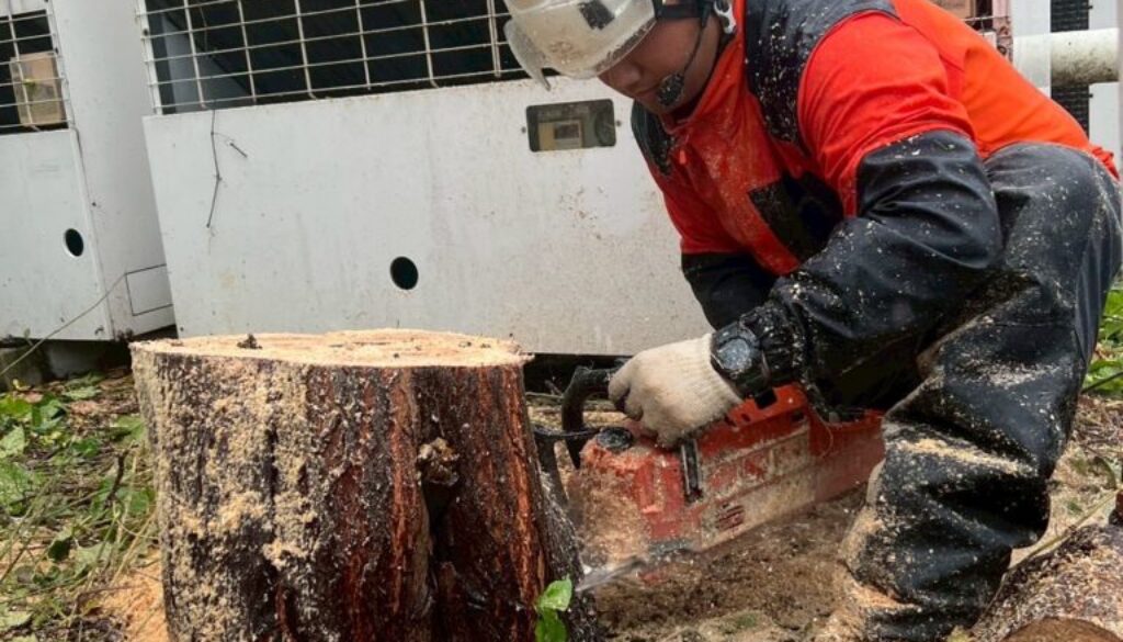 582236249_18319365658169122_8095419937572117845_n