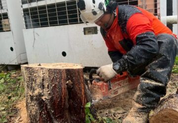 582236249_18319365658169122_8095419937572117845_n