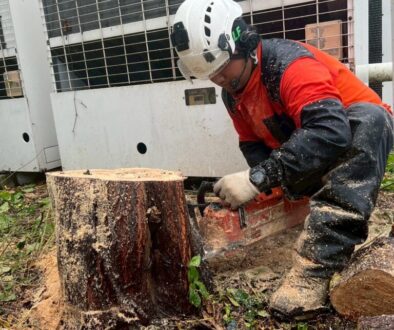 582236249_18319365658169122_8095419937572117845_n