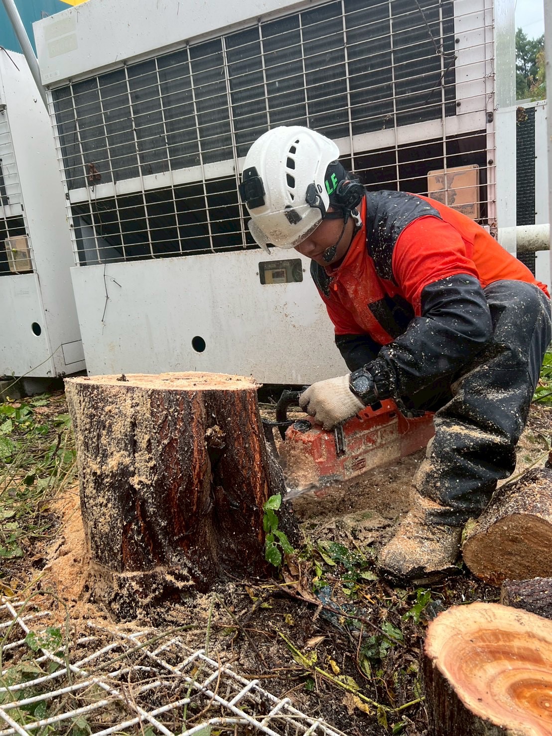 582236249_18319365658169122_8095419937572117845_n