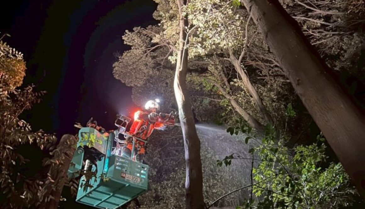 625557332_18327496882169122_2613015424307969410_n