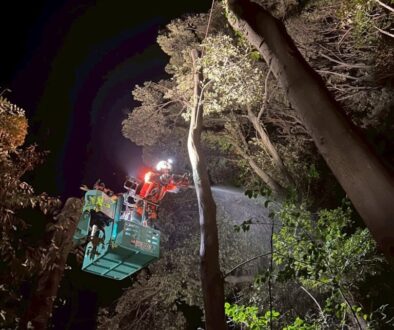 625557332_18327496882169122_2613015424307969410_n