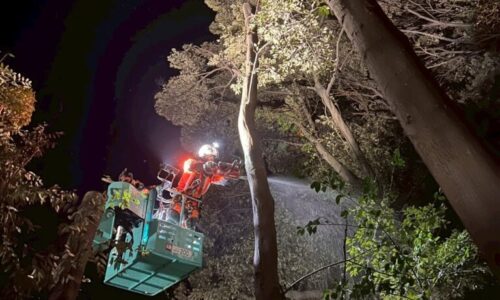 625557332_18327496882169122_2613015424307969410_n