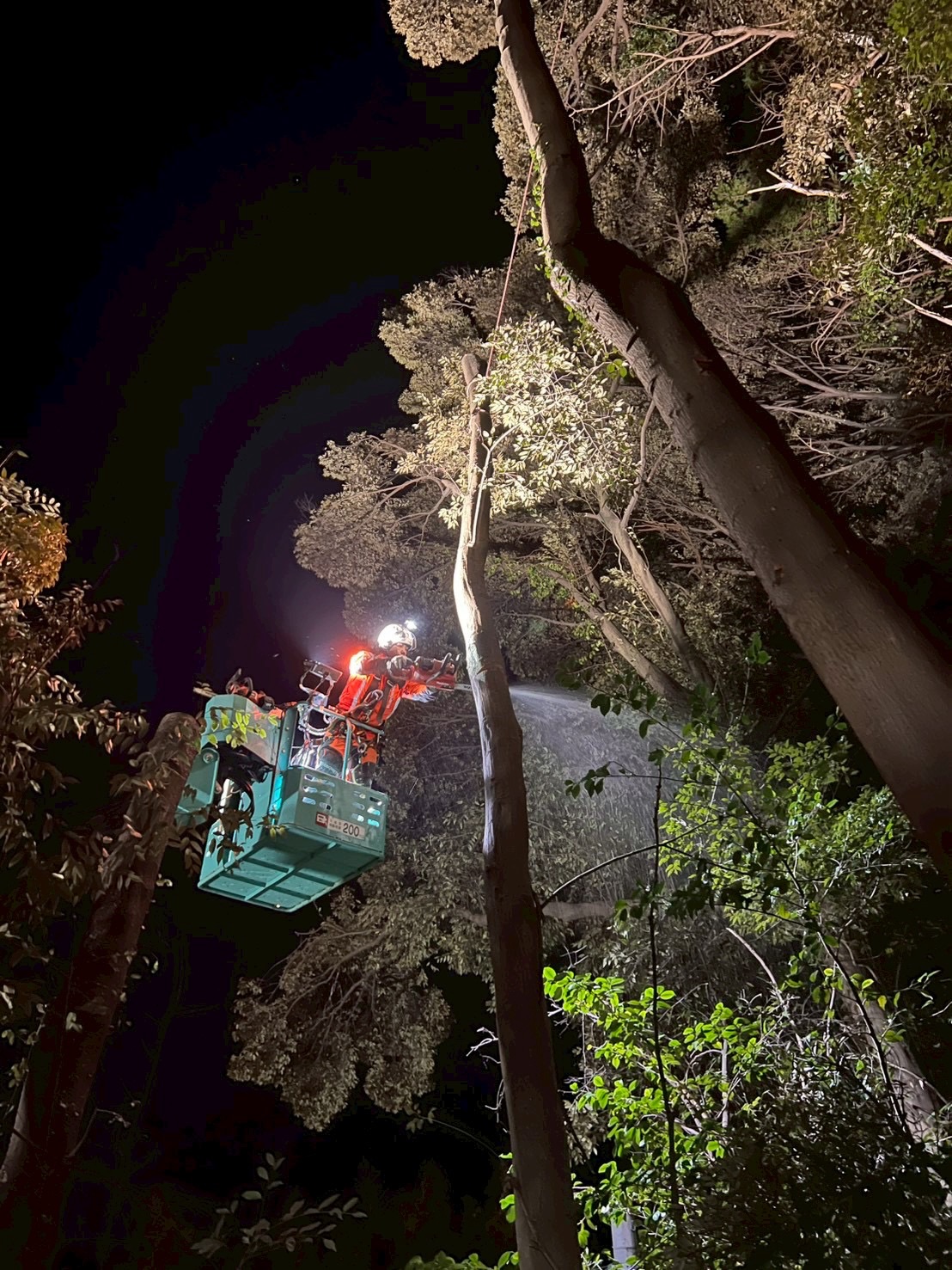 625557332_18327496882169122_2613015424307969410_n