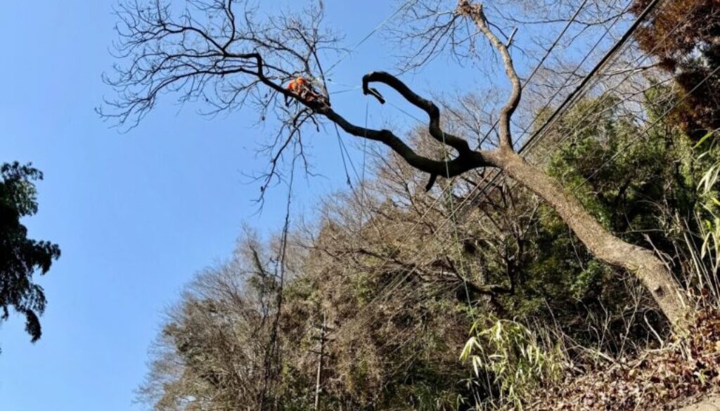 655961466_18335047966169122_2866112918371112243_n