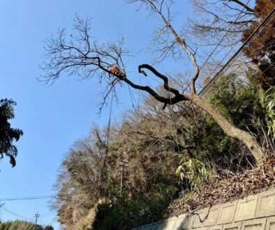 655961466_18335047966169122_2866112918371112243_n