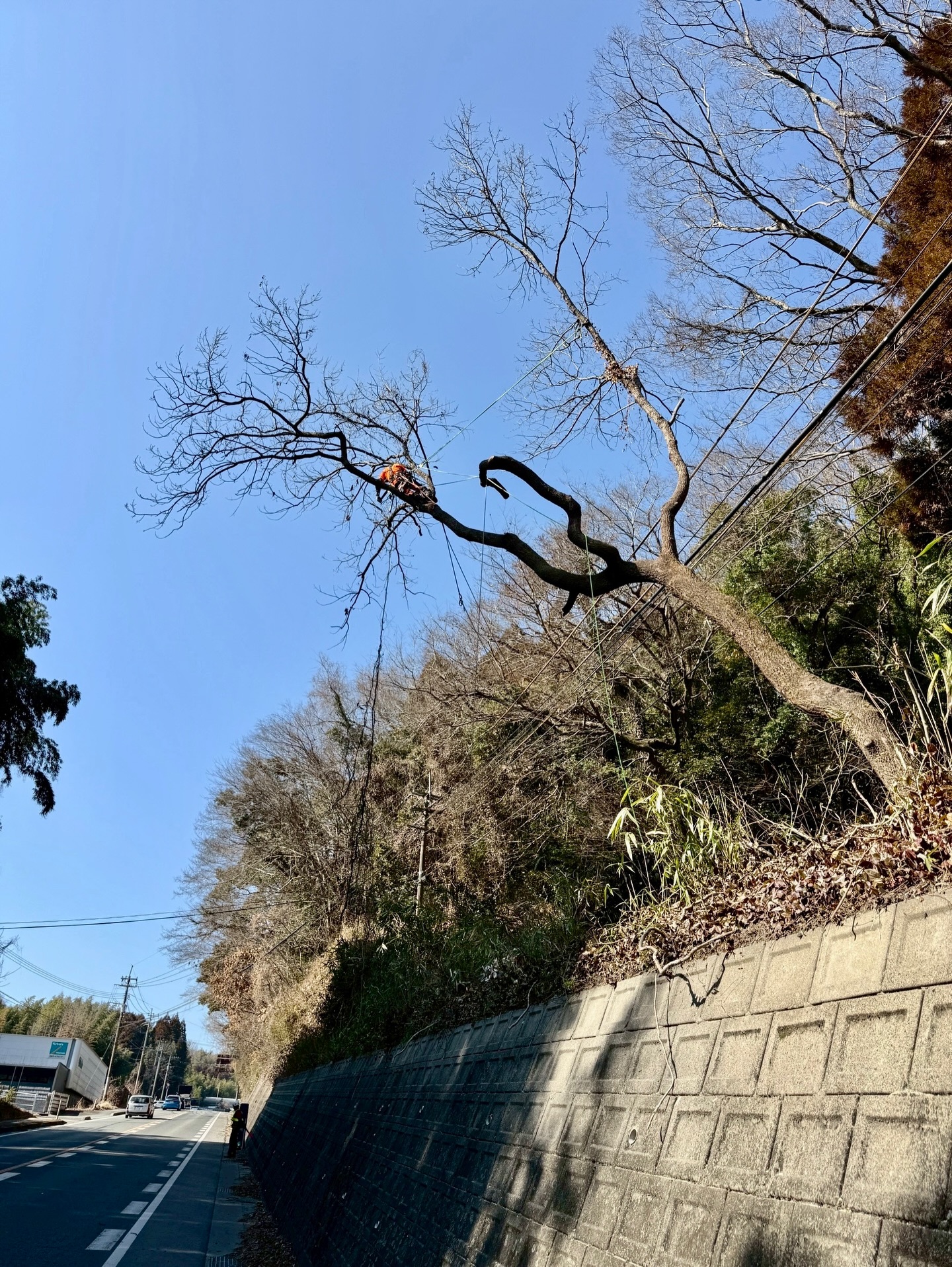 655961466_18335047966169122_2866112918371112243_n