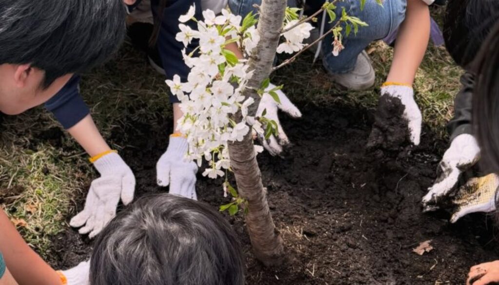 658415784_18336174751169122_1688958045284428329_n