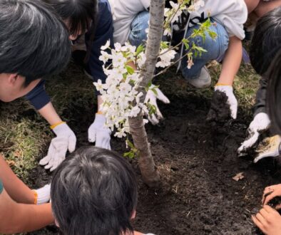 658415784_18336174751169122_1688958045284428329_n