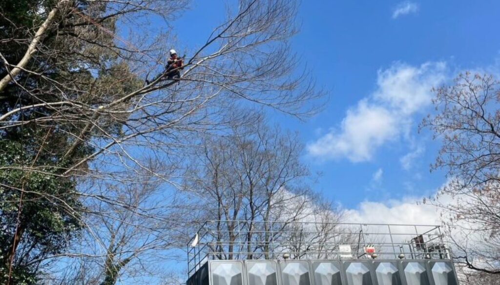 659031845_1404674431460130_1694868550435619519_n