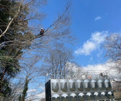 659031845_1404674431460130_1694868550435619519_n