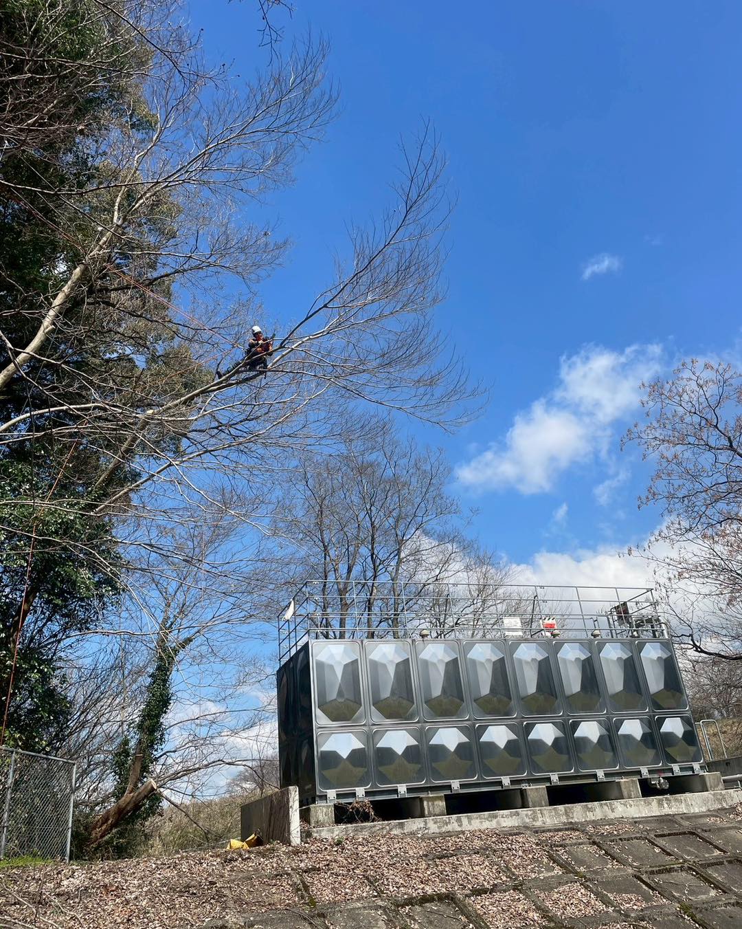 659031845_1404674431460130_1694868550435619519_n