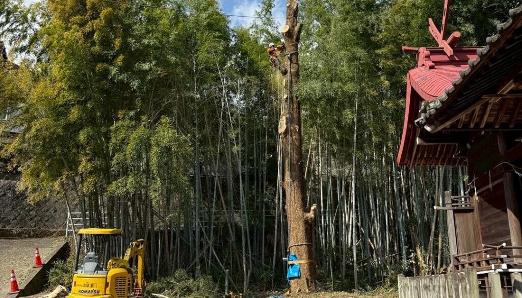 661689601_1404697134791193_914396041804346628_n