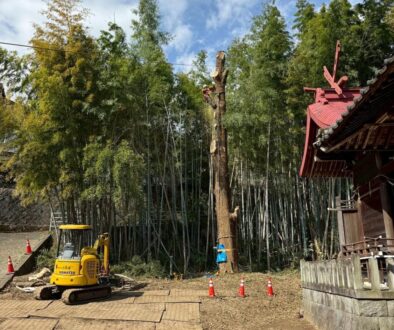 661689601_1404697134791193_914396041804346628_n